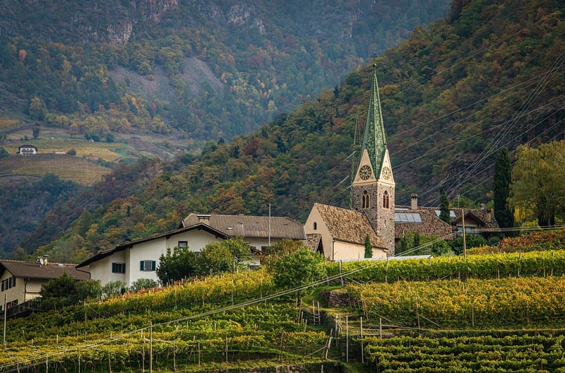 Vineyards